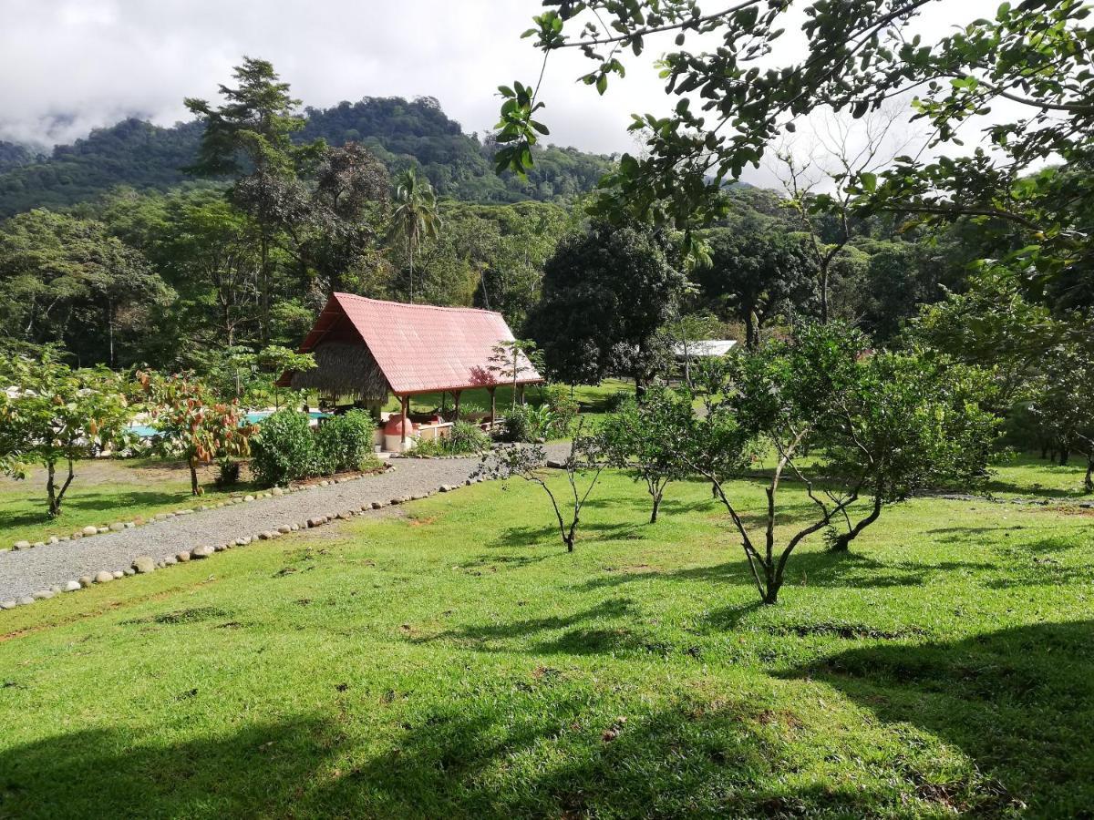Hacienda Mil Bellezas - Private 40Ha Jungle Reserve Quepos Bagian luar foto