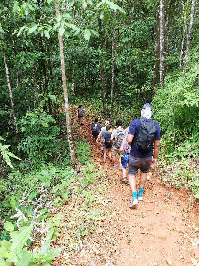 Hacienda Mil Bellezas - Private 40Ha Jungle Reserve Quepos Bagian luar foto