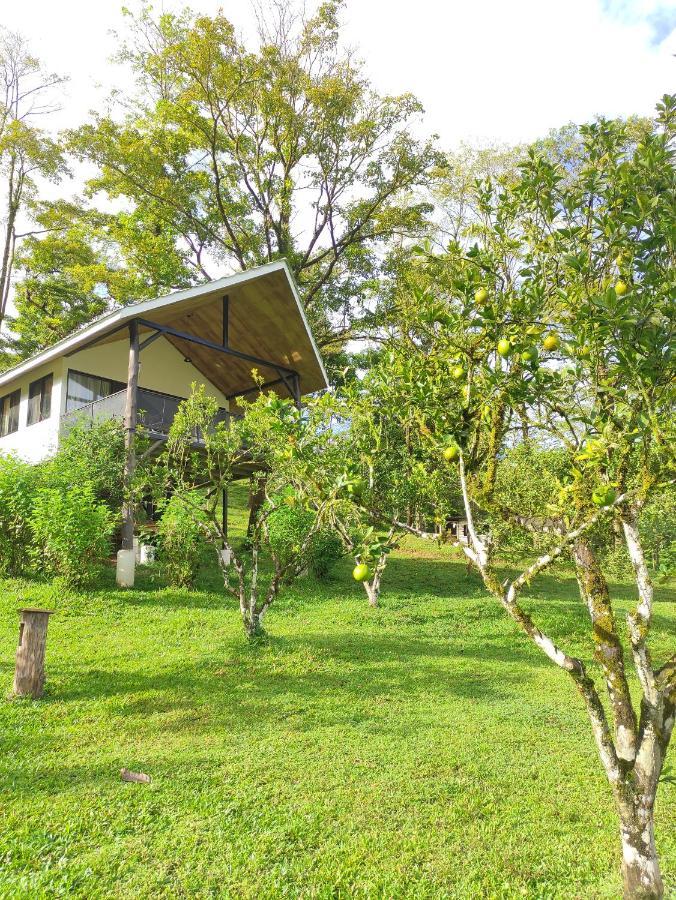 Hacienda Mil Bellezas - Private 40Ha Jungle Reserve Quepos Ruang foto
