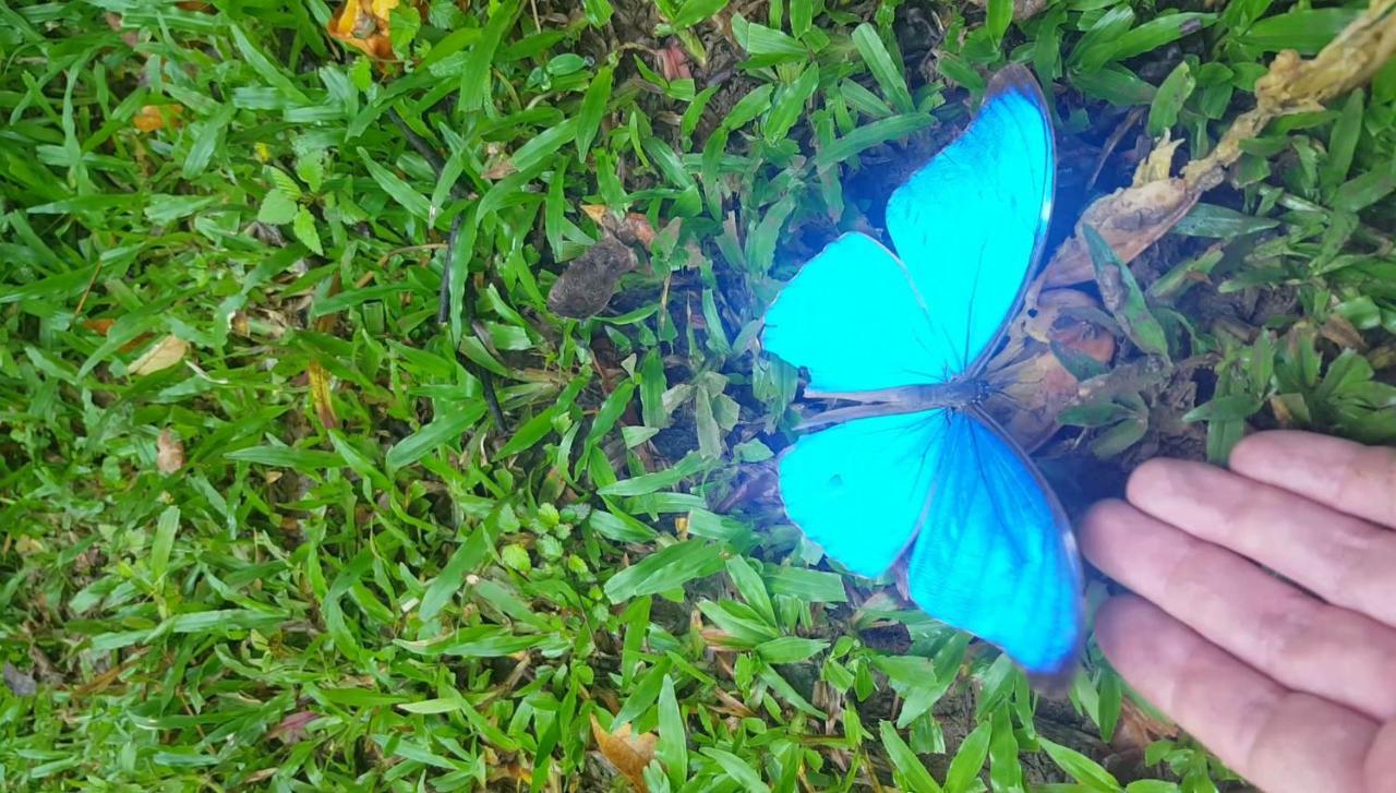 Hacienda Mil Bellezas - Private 40Ha Jungle Reserve Quepos Bagian luar foto