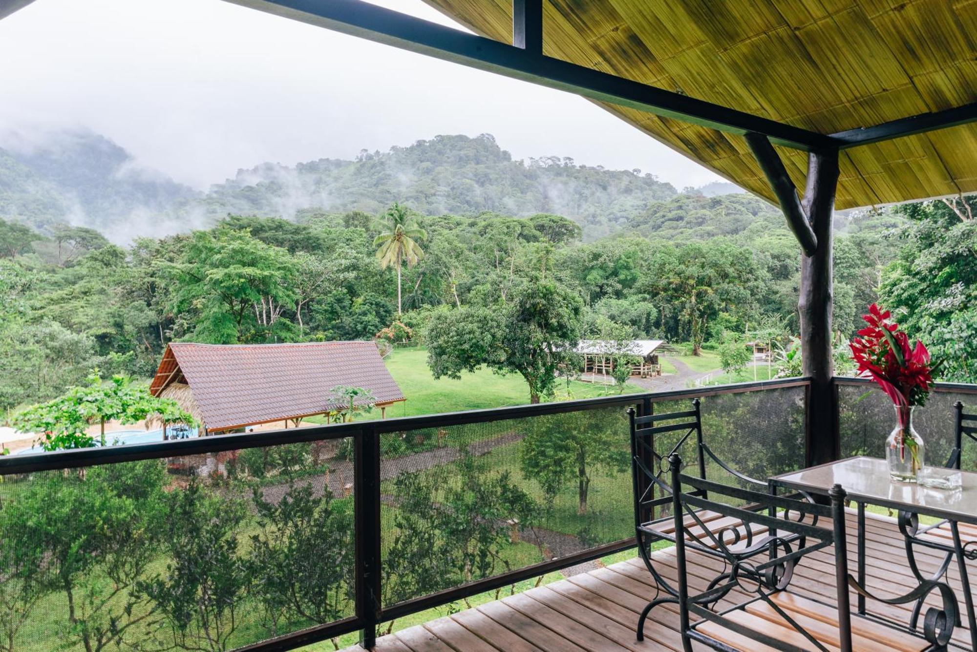 Hacienda Mil Bellezas - Private 40Ha Jungle Reserve Quepos Ruang foto
