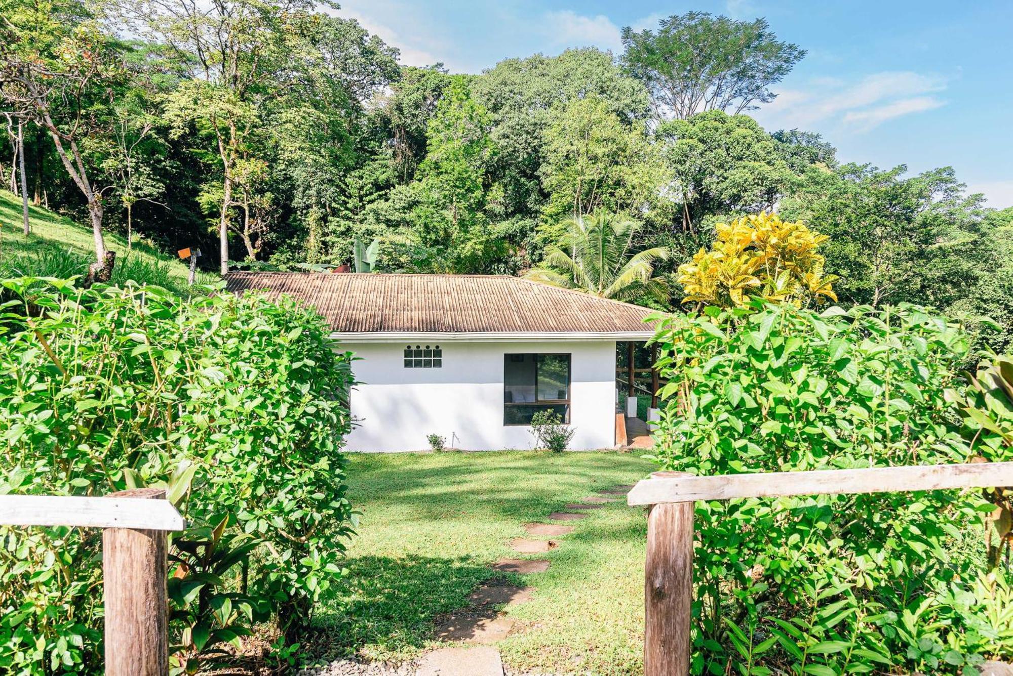 Hacienda Mil Bellezas - Private 40Ha Jungle Reserve Quepos Ruang foto