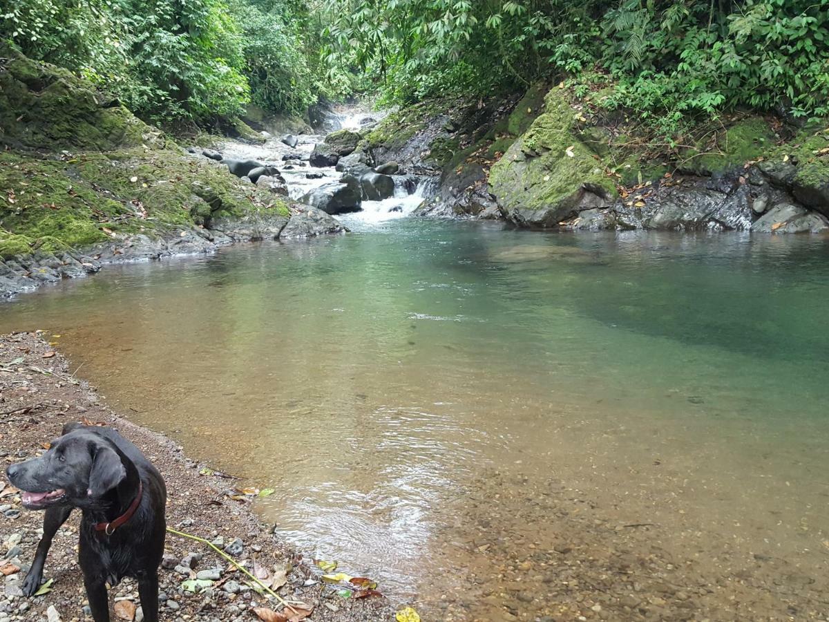 Hacienda Mil Bellezas - Private 40Ha Jungle Reserve Quepos Bagian luar foto