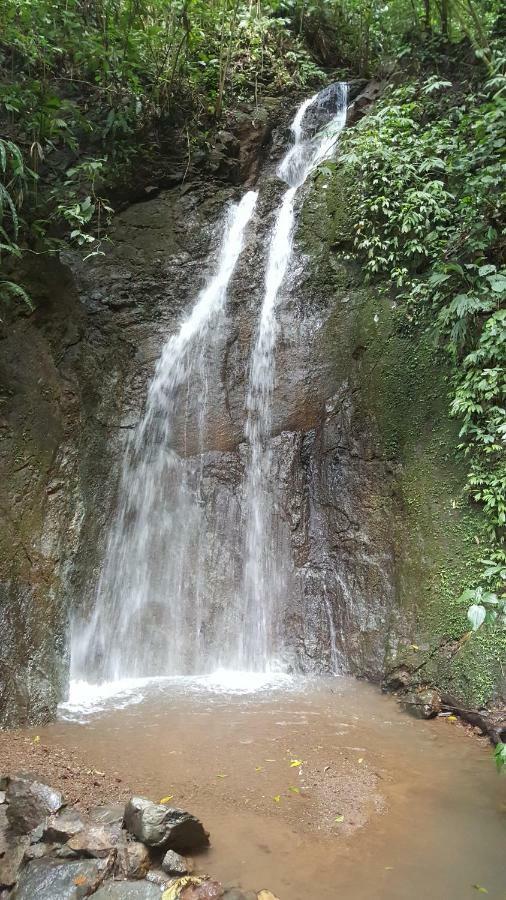 Hacienda Mil Bellezas - Private 40Ha Jungle Reserve Quepos Bagian luar foto