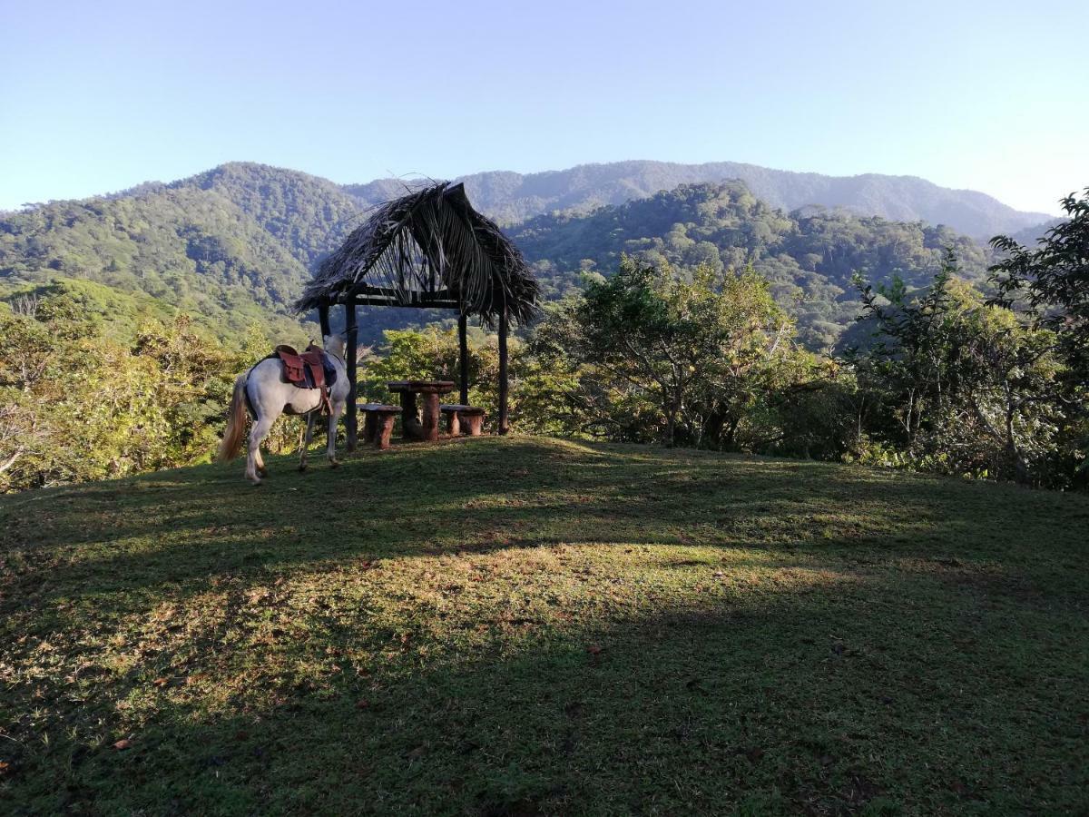 Hacienda Mil Bellezas - Private 40Ha Jungle Reserve Quepos Bagian luar foto