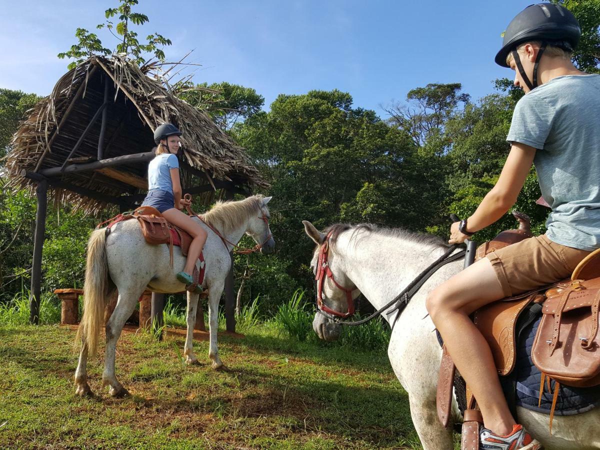 Hacienda Mil Bellezas - Private 40Ha Jungle Reserve Quepos Bagian luar foto